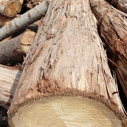 昆明井字架是不是